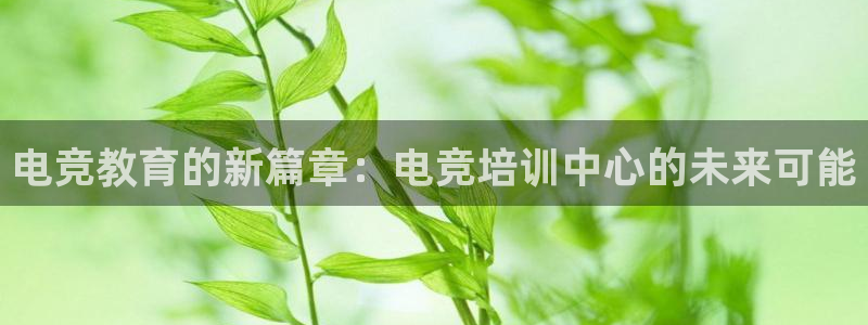 JJB电竞官：电竞教育的新篇章：电竞培训中心的未来可能