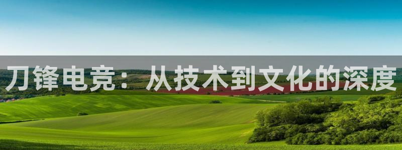 JJB电竞官方网站：刀锋电竞：从技术到文化的深度
