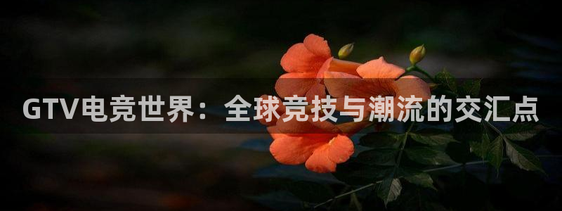JJB电竞官：GTV电竞世界：全球竞技与潮流的交汇点