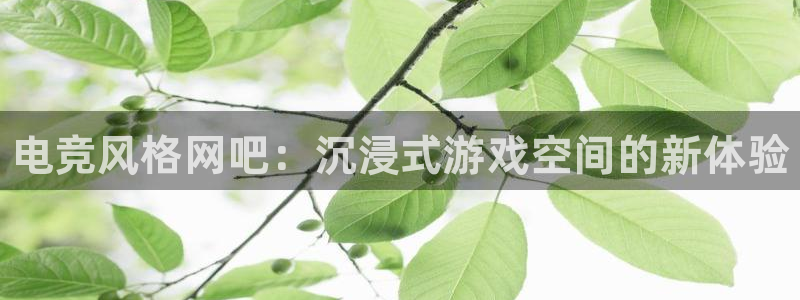 JJB电竞官方网站：电竞风格网吧：沉浸式游戏空间的新体验