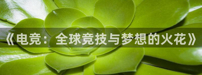 JJB电竞官方网站：《电竞：全球竞技与梦想的火花》