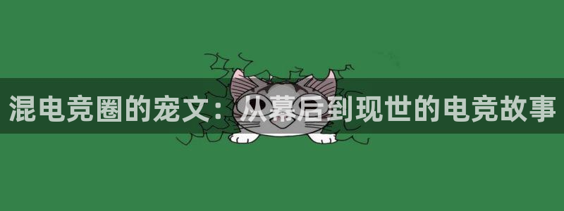 JJB电竞官方网站：混电竞圈的宠文：从幕后到现世的电竞故事