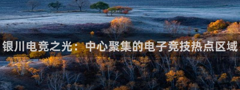JJB电竞官：银川电竞之光：中心聚集的电子竞技热点区域
