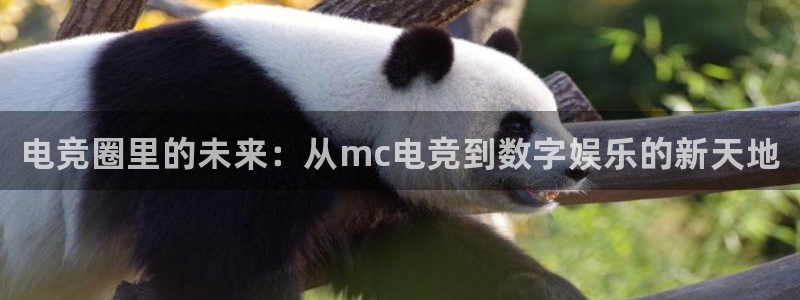 JJB电竞官方网站：电竞圈里的未来：从mc电竞到数字娱乐的新天地