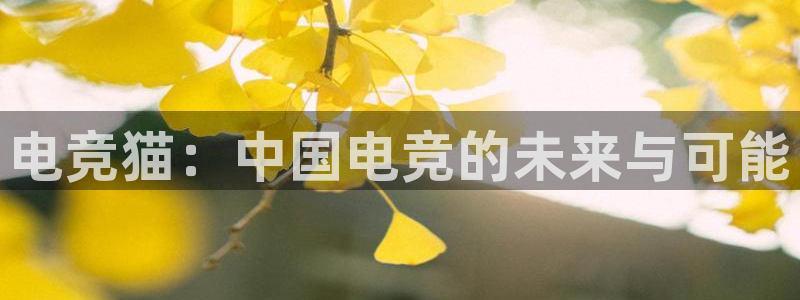 JJB电竞官：电竞猫：中国电竞的未来与可能