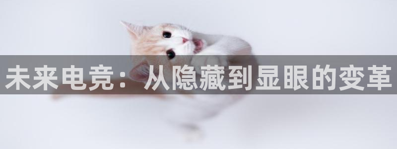 JJB电竞官：未来电竞：从隐藏到显眼的变革