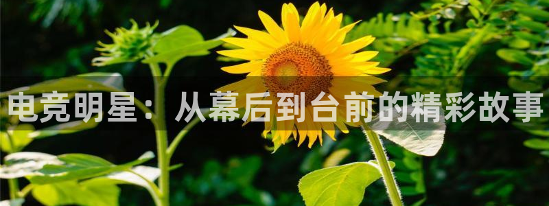 JJB电竞官：电竞明星：从幕后到台前的精彩故事