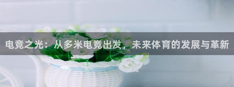 JJB电竞官方网站：电竞之光：从多米电竞出发，未来体育的发展与革新