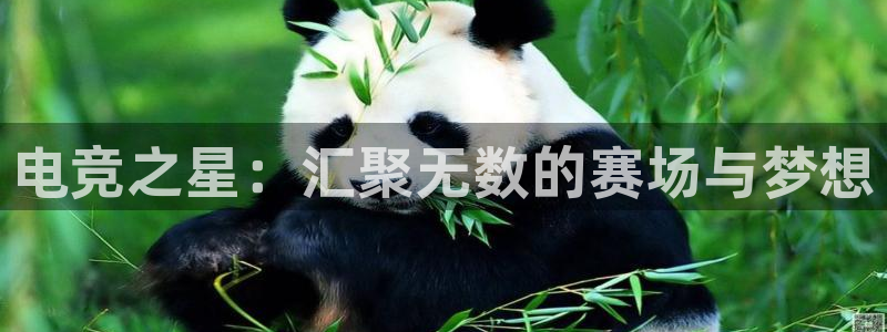 JJB电竞官方网站：电竞之星：汇聚无数的赛场与梦想