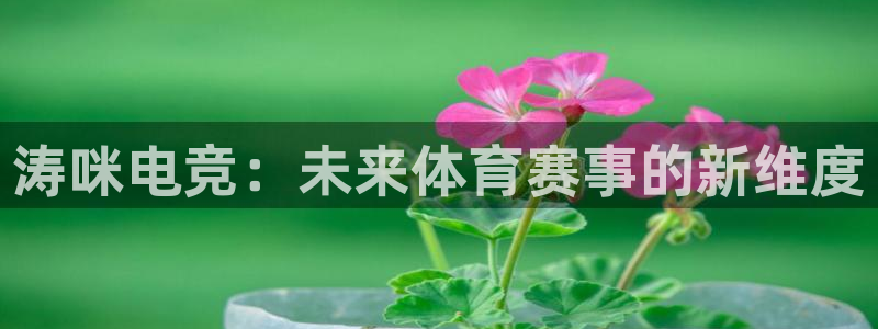 JJB电竞官方网站：涛咪电竞：未来体育赛事的新维度