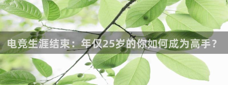 JJB电竞官：电竞生涯结束：年仅25岁的你如何成为高手？