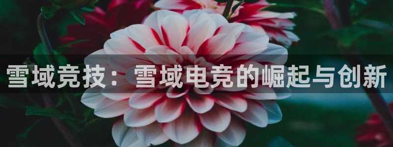 JJB电竞官：雪域竞技：雪域电竞的崛起与创新