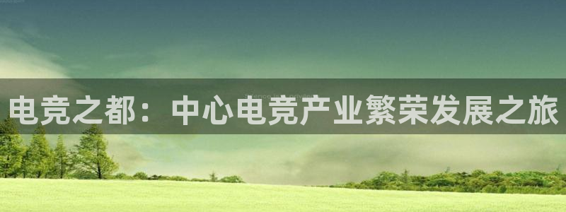 JJB电竞官方网站：电竞之都：中心电竞产业繁荣发展之旅