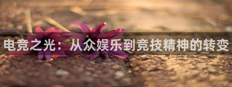 JJB电竞官方网站：电竞之光：从众娱乐到竞技精神的转变