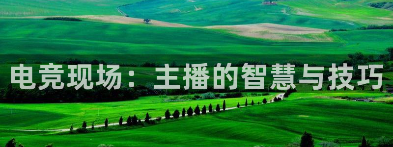 JJB电竞官方网站：电竞现场：主播的智慧与技巧