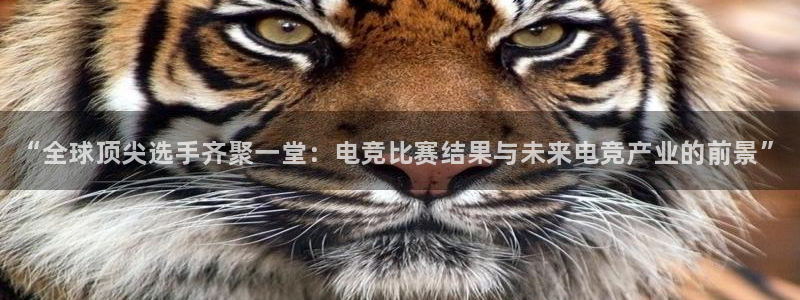 JJB电竞官：“全球顶尖选手齐聚一堂：电竞比赛结果与未来电竞产业的前景”