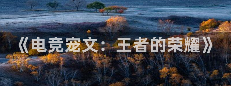 JJB电竞官：《电竞宠文：王者的荣耀》