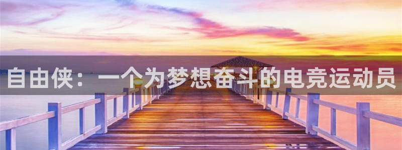 JJB电竞官方网站：自由侠：一个为梦想奋斗的电竞运动员