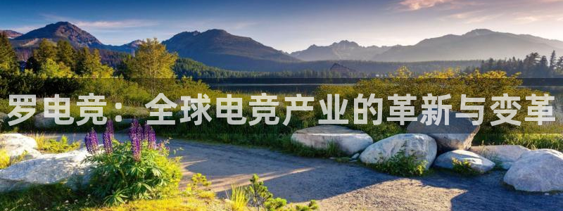 JJB电竞官：罗电竞：全球电竞产业的革新与变革