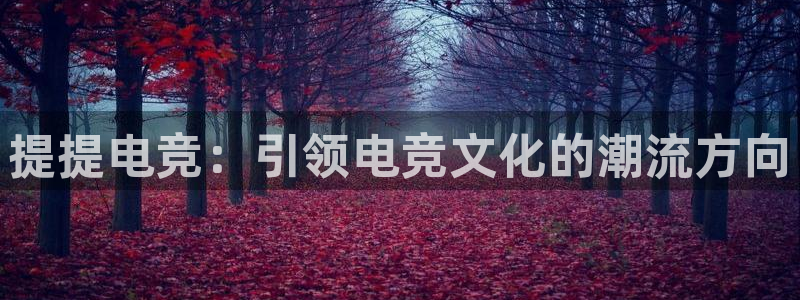JJB电竞官方网站：提提电竞：引领电竞文化的潮流方向