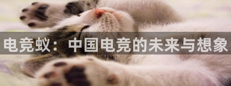JJB电竞官：电竞蚁：中国电竞的未来与想象
