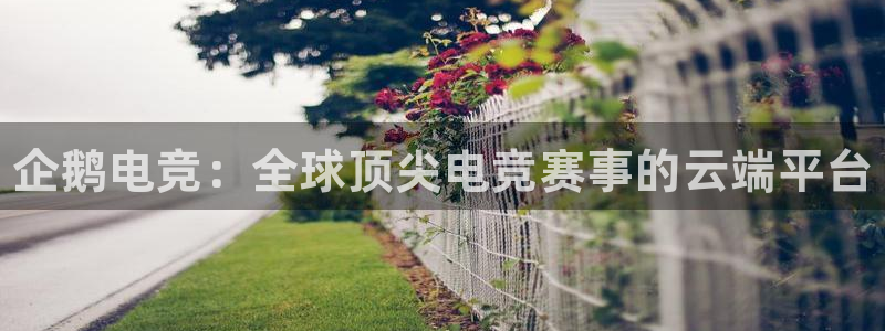 JJB电竞官：企鹅电竞：全球顶尖电竞赛事的云端平台