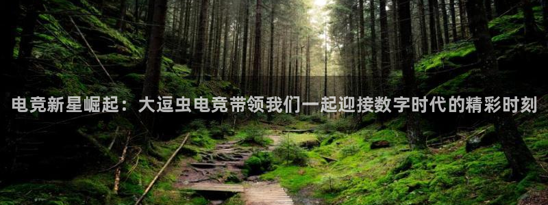 JJB电竞官：电竞新星崛起：大逗虫电竞带领我们一起迎接数字时代的精彩时刻