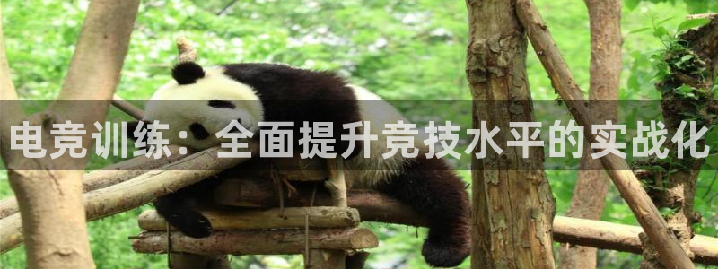JJB电竞官：电竞训练：全面提升竞技水平的实战化