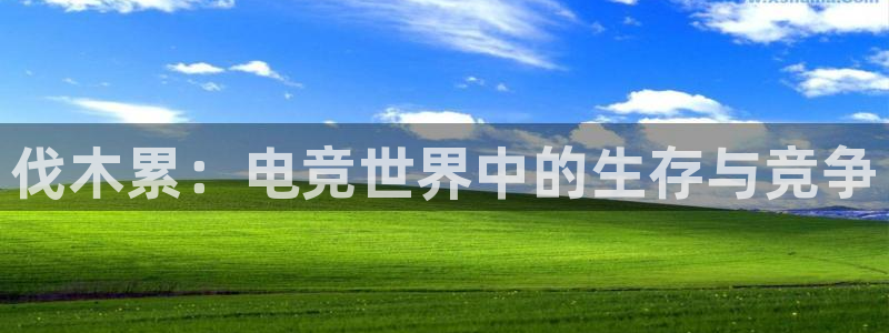 JJB电竞官：伐木累：电竞世界中的生存与竞争