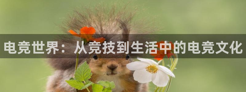 JJB电竞官方网站：电竞世界：从竞技到生活中的电竞文化