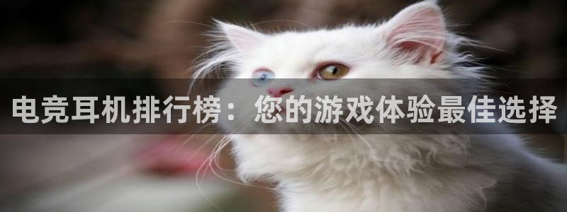JJB电竞官：电竞耳机排行榜：您的游戏体验最佳选择