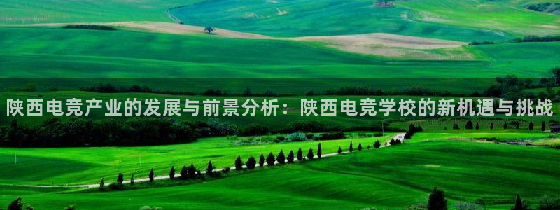 JJB电竞官方网站：陕西电竞产业的发展与前景分析：陕西电竞学校的新机遇与挑战