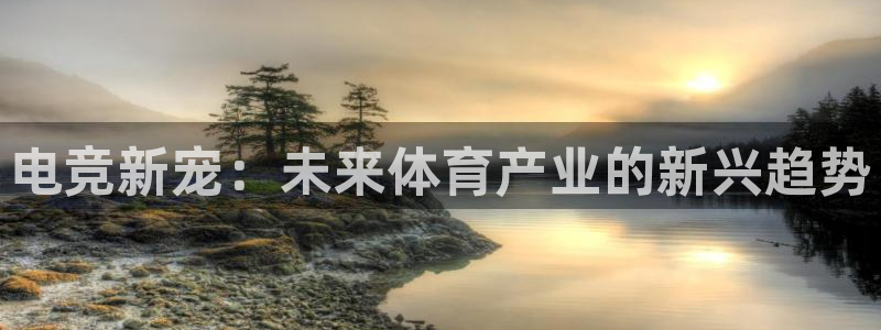 JJB电竞官：电竞新宠：未来体育产业的新兴趋势